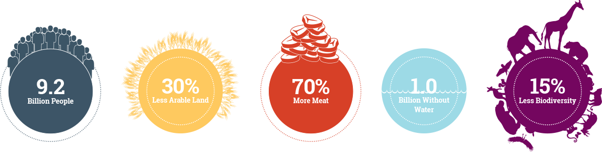 cricket nutrition facts