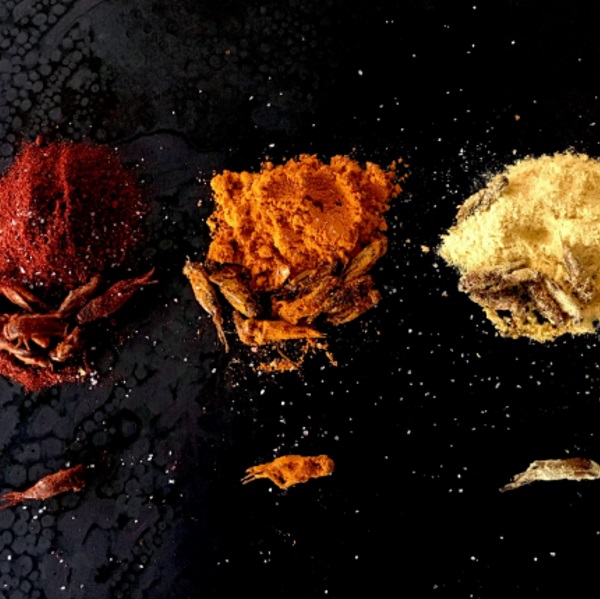 Aketta pan-toasted spiced crickets