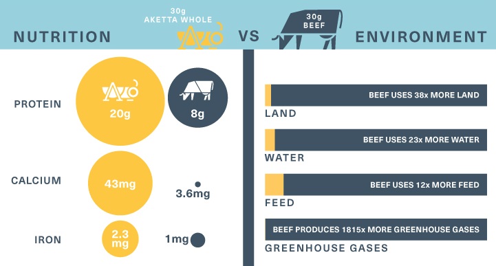 edible cricket nutrition facts