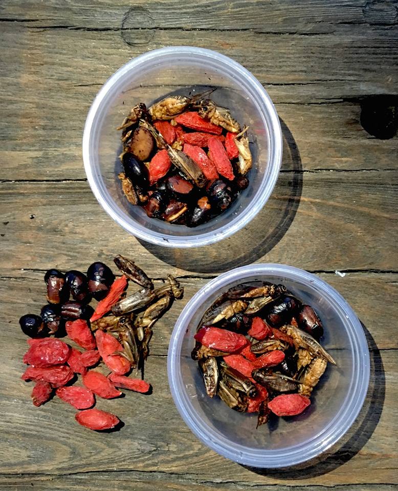 aketta cricket protein snack mix