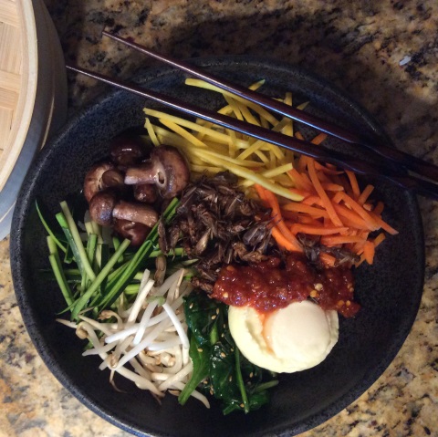 aketta cricket protein bibimbap 