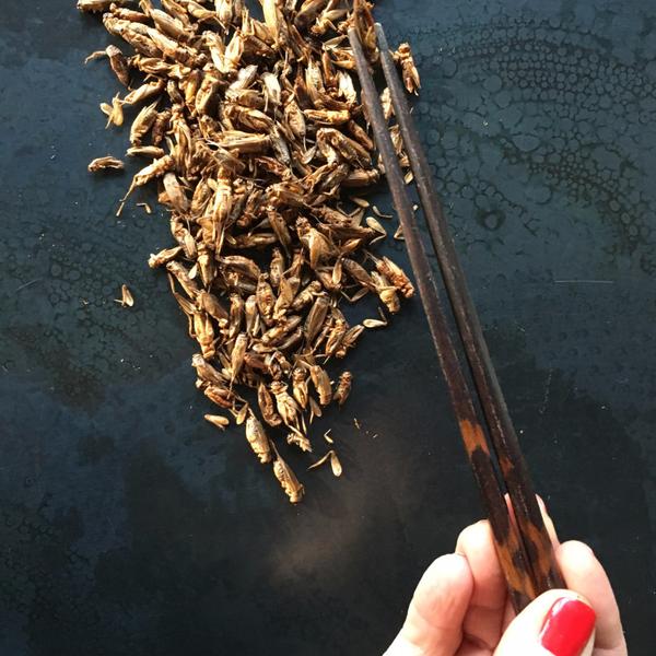 Aketta Whole Roasted Crickets