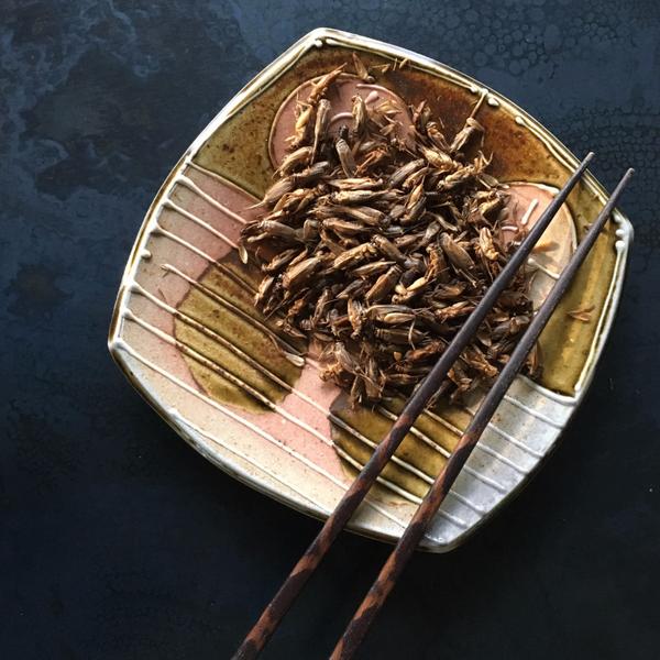 Aketta Whole Roasted Crickets